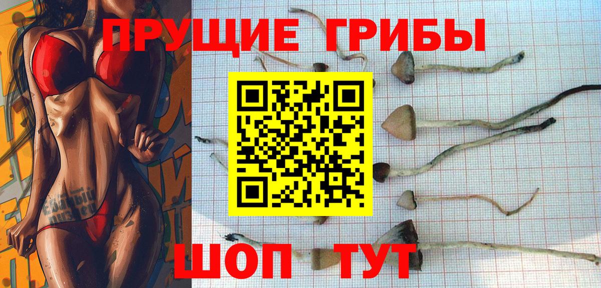Славгород  Галлюциногенные грибы мицелий  Вход с VPN 