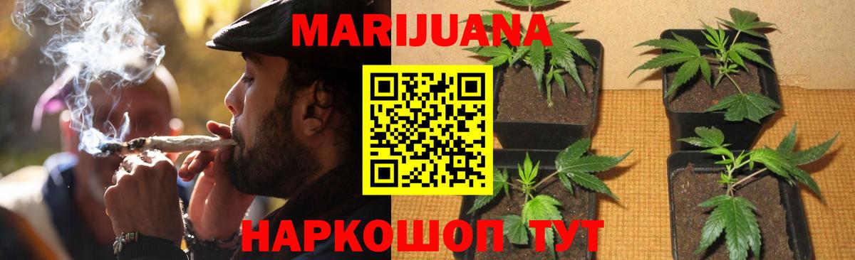 Бошки Шишки план  Бошки марихуана марихуана  Бошки марихуана планчик  Вход с VPN  Славгород 